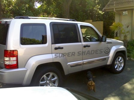 Car Window Sun Shades